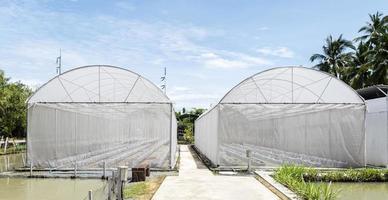 Außenansicht Gewächshaus für den Anbau von Gemüse und Obst foto