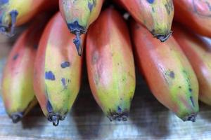 Bündel Readish-Bananen in Nahaufnahme foto