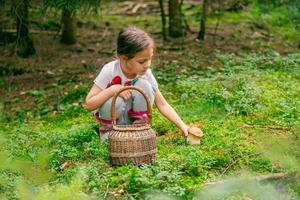 Kleines Mädchen pflückt einen Steinpilz vom Boden. geflochtener Korb daneben. Wald dahinter foto