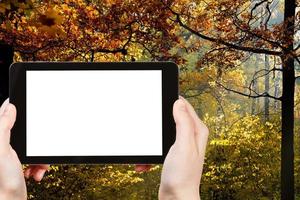 Tablet-PC mit ausgeschnittenem Bildschirm und Herbstwald foto