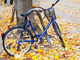 Fahrrad auf der Straße mit Laub geparkt foto