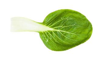 grünes Blatt von Bok Choy Pak Choi Chinakohl foto