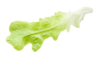 frisches Blatt von kultiviertem Salat Lactuca Sativa foto