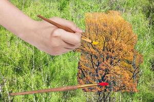 Pinsel malt gelbe Herbsteiche in grünen Wäldern foto