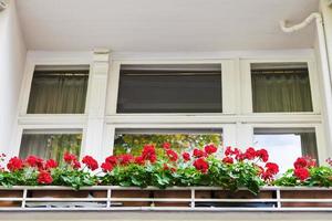 Rote Blumen auf dem Balkon des Gebäudes in Berlin foto