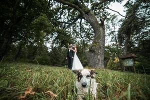 schöne hochzeitspaar posiert foto