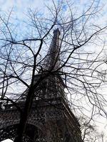 Eiffelturm und Äste in Paris im Frühjahr foto