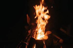 schönes Feuer im Wald auf schwarzem Hintergrund. foto