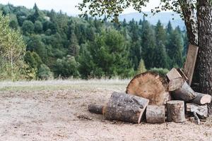 eine Lichtung im Wald mit gefaltetem Brennholz foto