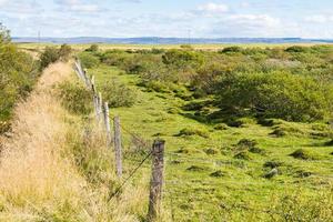 rustikale Landschaft in Island im Herbst foto