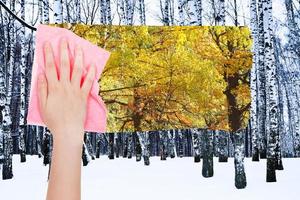 Hand löscht nackte Birkenstämme durch rosa Tuch foto