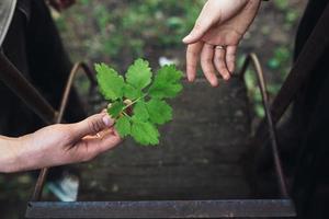 Paar in der Nähe der Schaukel foto