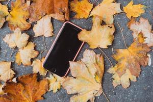 das Smartphone, das im Herbst auf dem Boden liegt foto