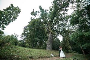 schöne hochzeitspaar posiert foto