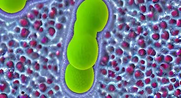Bakterien, Viren oder Keime Mikroorganismenzellen. 3D-Rendering foto