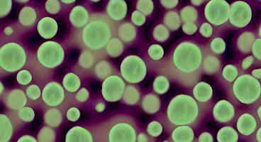Bakterien, Viren oder Keime Mikroorganismenzellen. 3D-Rendering foto