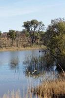 mabula buschveld dam foto