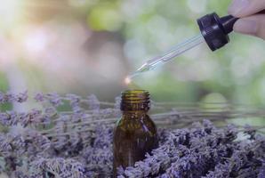 Lavendelextrakt in kleiner Flasche in der Nähe von blühendem Lavendel auf Holztisch mit Aromatherapie. ätherisches öl, das aus glastropfen in organische bio-alternative medizin fällt, braune flasche fühlt sich entspannt an. foto