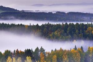 nebliger Morgen in der Landschaft foto