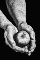 ein Apfel in Seniorenhänden foto