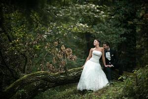 schönes Hochzeitspaar, das im Wald sitzt foto