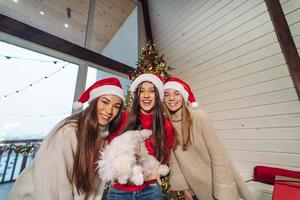 Mehrere Mädchen spielen an Silvester mit einem kleinen Hund foto
