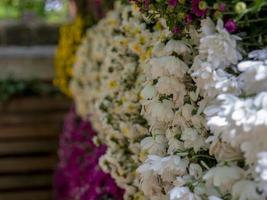 Kompositionen von Herbstchrysanthemen in einem öffentlichen Park foto