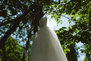 Hochzeitskleid, das an einem Baum hängt foto