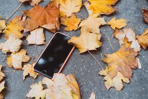 das Smartphone, das im Herbst auf dem Boden liegt foto