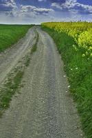 Feldweg und Vergewaltigung foto