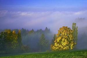 Landschaft mit Herbstbäumen foto