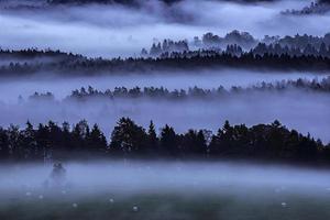 nebliger Morgen in der Landschaft foto