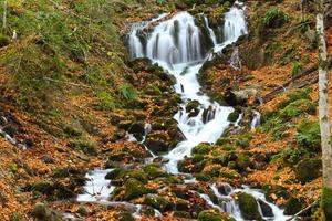 Fluss in yedigoller foto