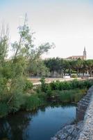 schöne landschaft entlang des flusses arlanza in lerma, spanien foto