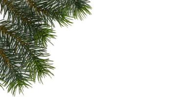 Weihnachtsbaumzweige. das konzept des neuen jahres, weihnachten, natur. Banner. flache Lage, Draufsicht auf weißem Hintergrund foto