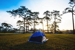 campingzeltbereich im phu kradueng nationalpark bei loei thailand sonnenuntergang bunter zeltkiefernbaumhintergrund foto