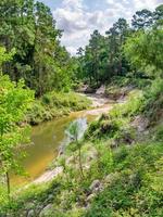 spring creek, nördlich von houston, ist von jährlichen überschwemmungen gekennzeichnet, die seine ufer kontinuierlich erodieren. foto