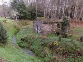 Ein einsames Haus im Wald foto