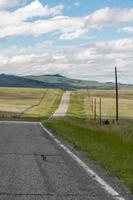 Ein abgelegener, von Strommasten gesäumter Straßenabschnitt im ländlichen Montana. foto