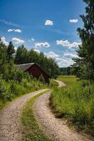 ein weg in klein und schweden durch wiesen, felder und wälder. foto