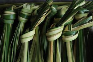 junge Kokosblätter. junge Kokosnussblätter, die zur Herstellung von Ketupat-Essen verwendet werden foto