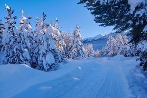 Wintersonnenaufgang mit frisch verschneiten Wäldern und Bergen