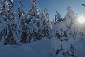 Wintersonnenaufgang mit frisch verschneiten Wäldern und Bergen foto