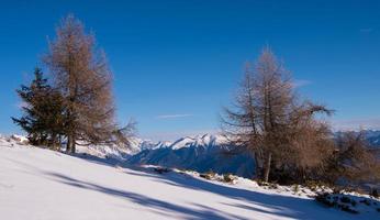 Blick auf die Winterlandschaft foto