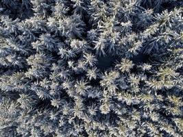 Blick auf die Winterlandschaft foto