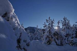 Wintersonnenaufgang mit frisch verschneiten Wäldern und Bergen foto