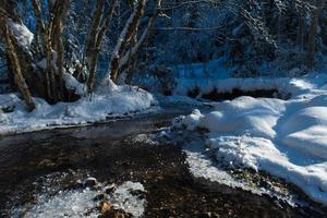 Eis im Winterbach foto