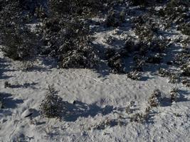 Blick auf die Winterlandschaft foto