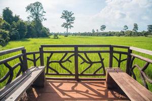 die balkonterrassen auf reisfeldern im bereich des banteay srei tempels in siem reap, kambodscha. foto