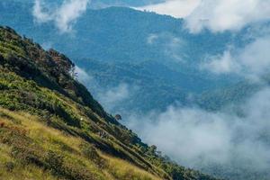 die wunderschönen naturpfade auf dem kamm von kio mae pan, eine der touristenattraktionen in doi inthanon, dem höchsten berg in der thailändischen provinz chiang mai. foto